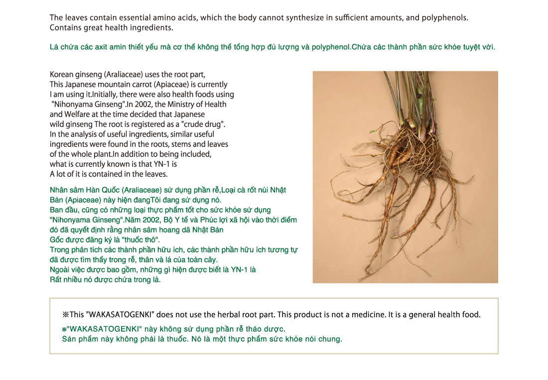 The leaves contain essential amino acids, which the body cannot synthesize in sufficient amounts, and polyphenols.