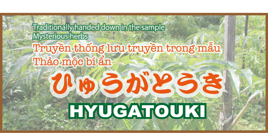HYUGATOUKI