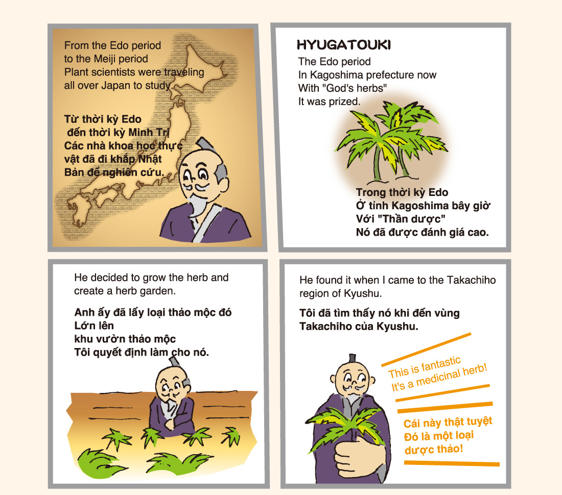 From the Edo Period to the Meiji period Plant scientists were traveling all over Japan to study