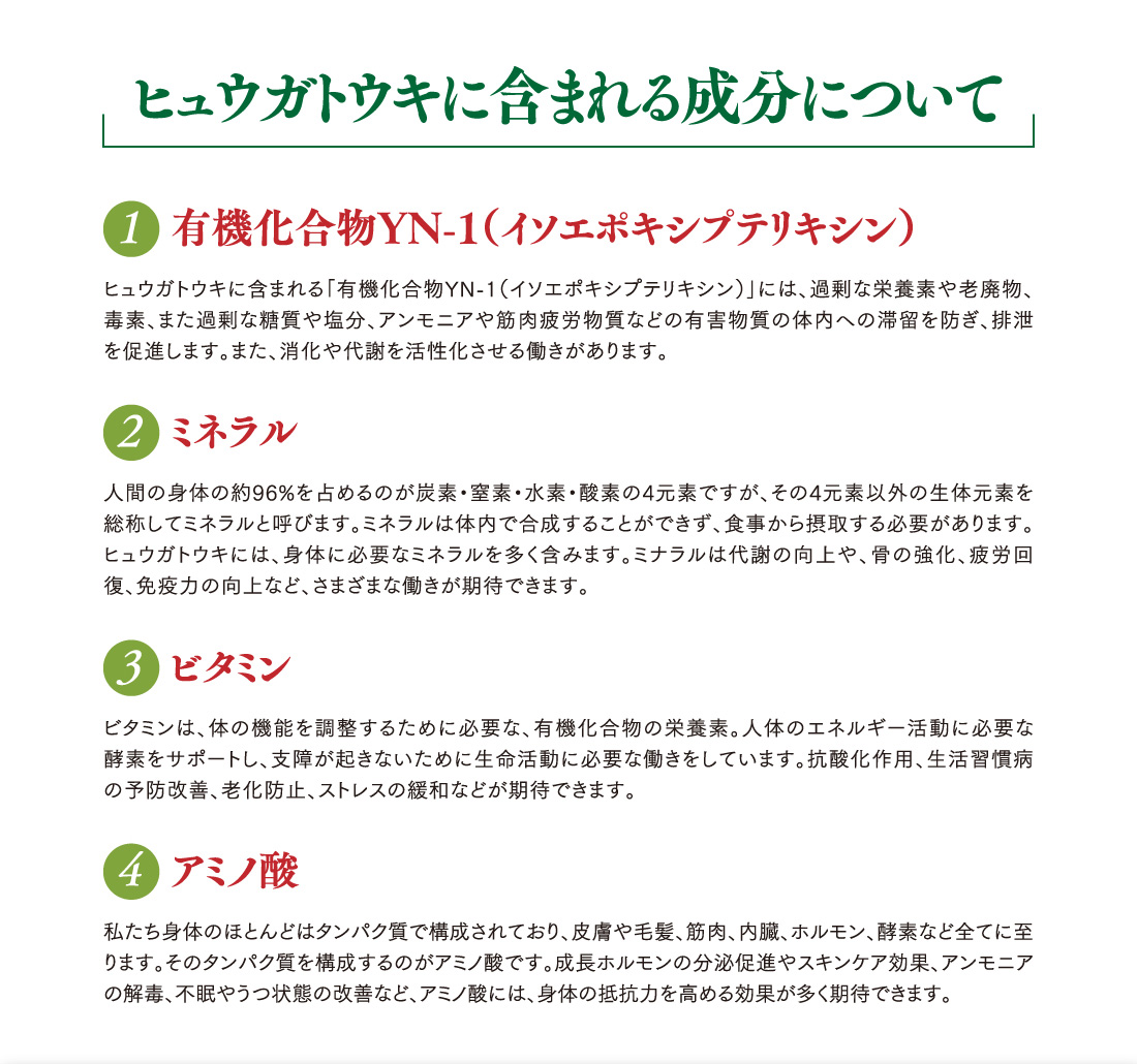 ヒュウガトウキに含まれる成分について