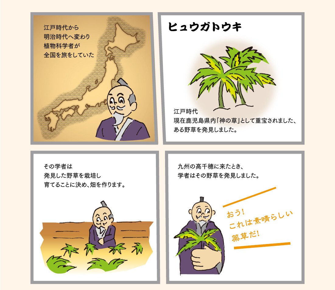 江戸時代から明治時代へ変わり植物科学者が全国を旅をしていた